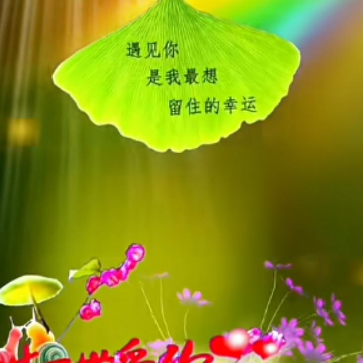 迷茫的爱🌹