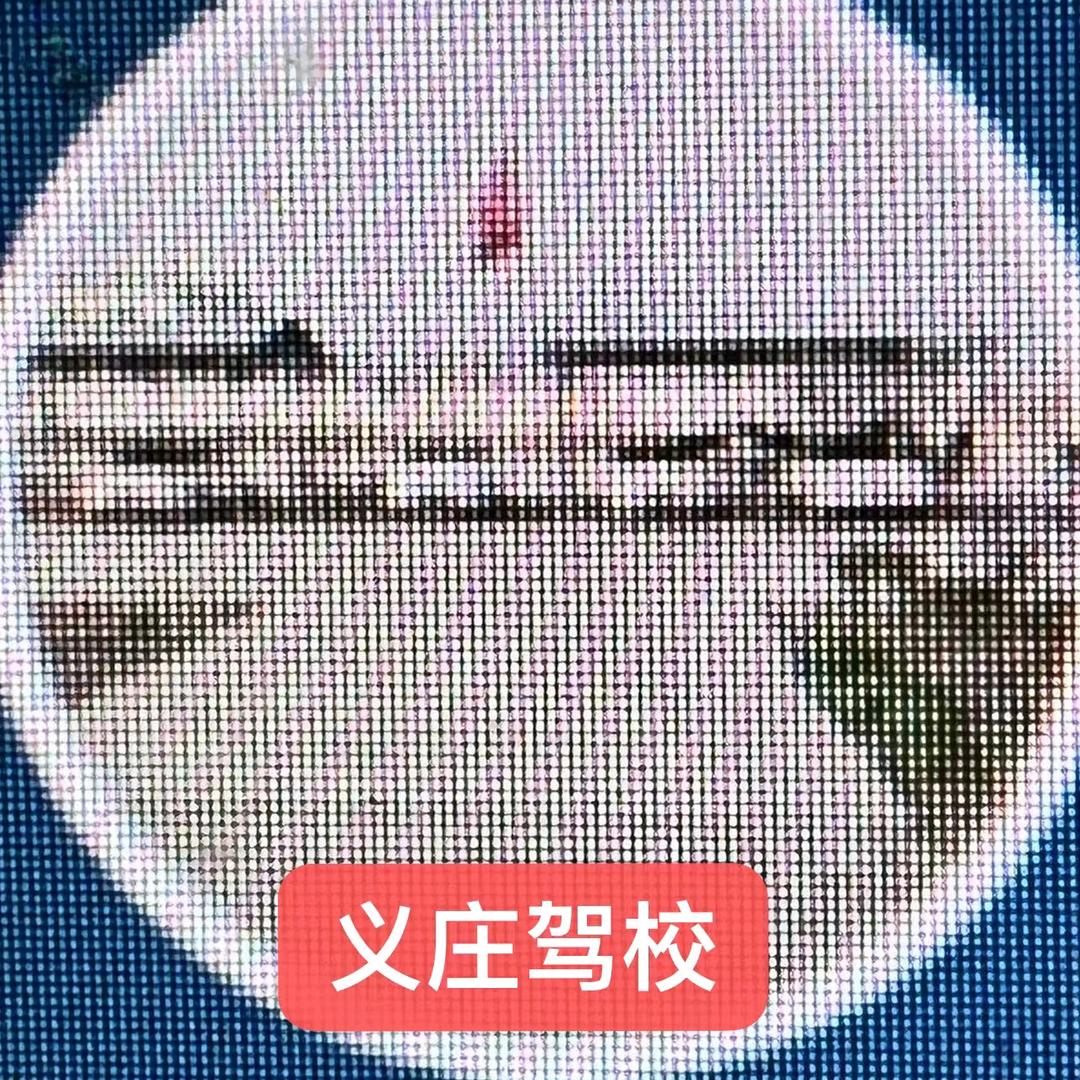 成氏青藏线老兵