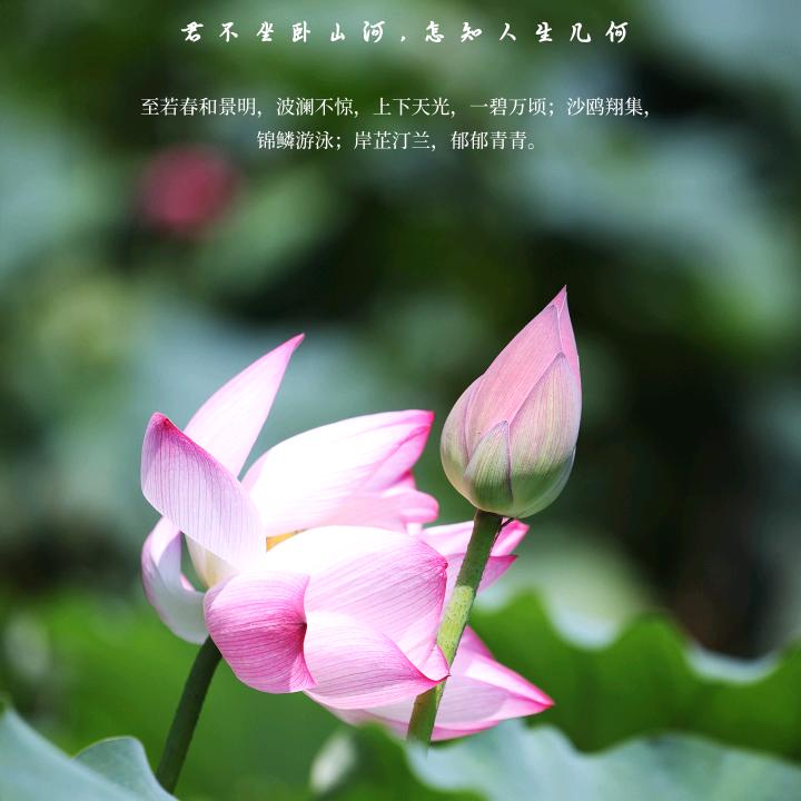 仰望天空