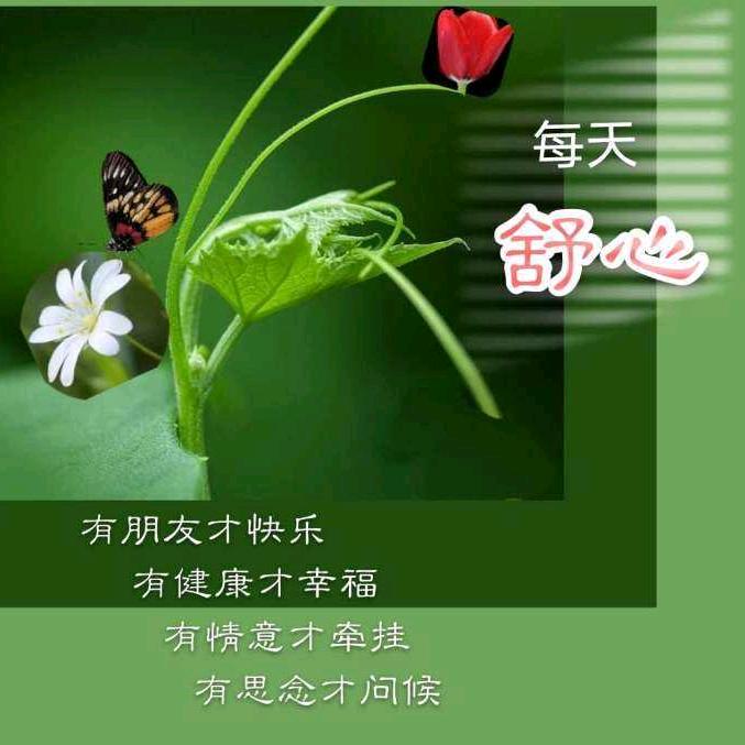 踏雪寻梅