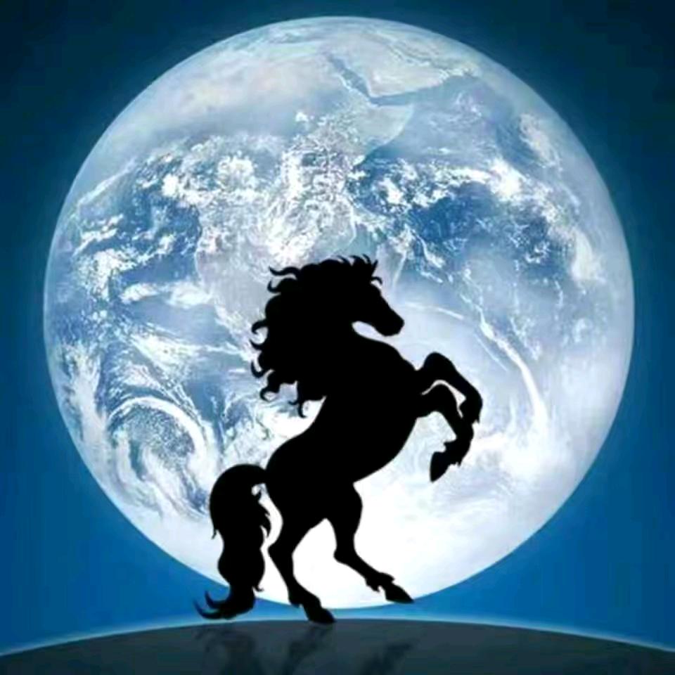 桛佤锘矶钓救生衣