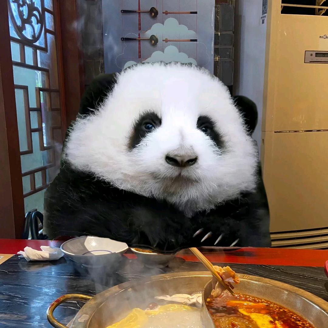 JK未响应