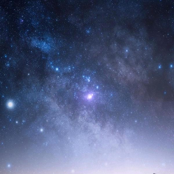 梅花一枝花