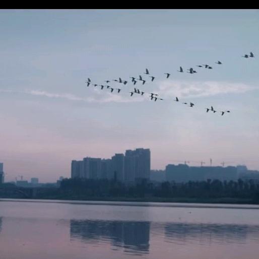 四川荣军(光伏劳务清包)