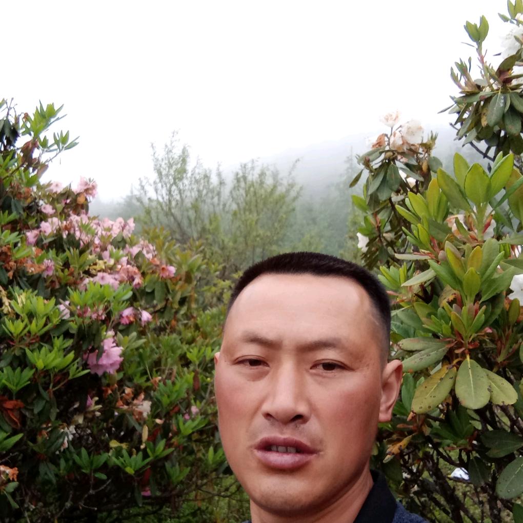 拼搏人生