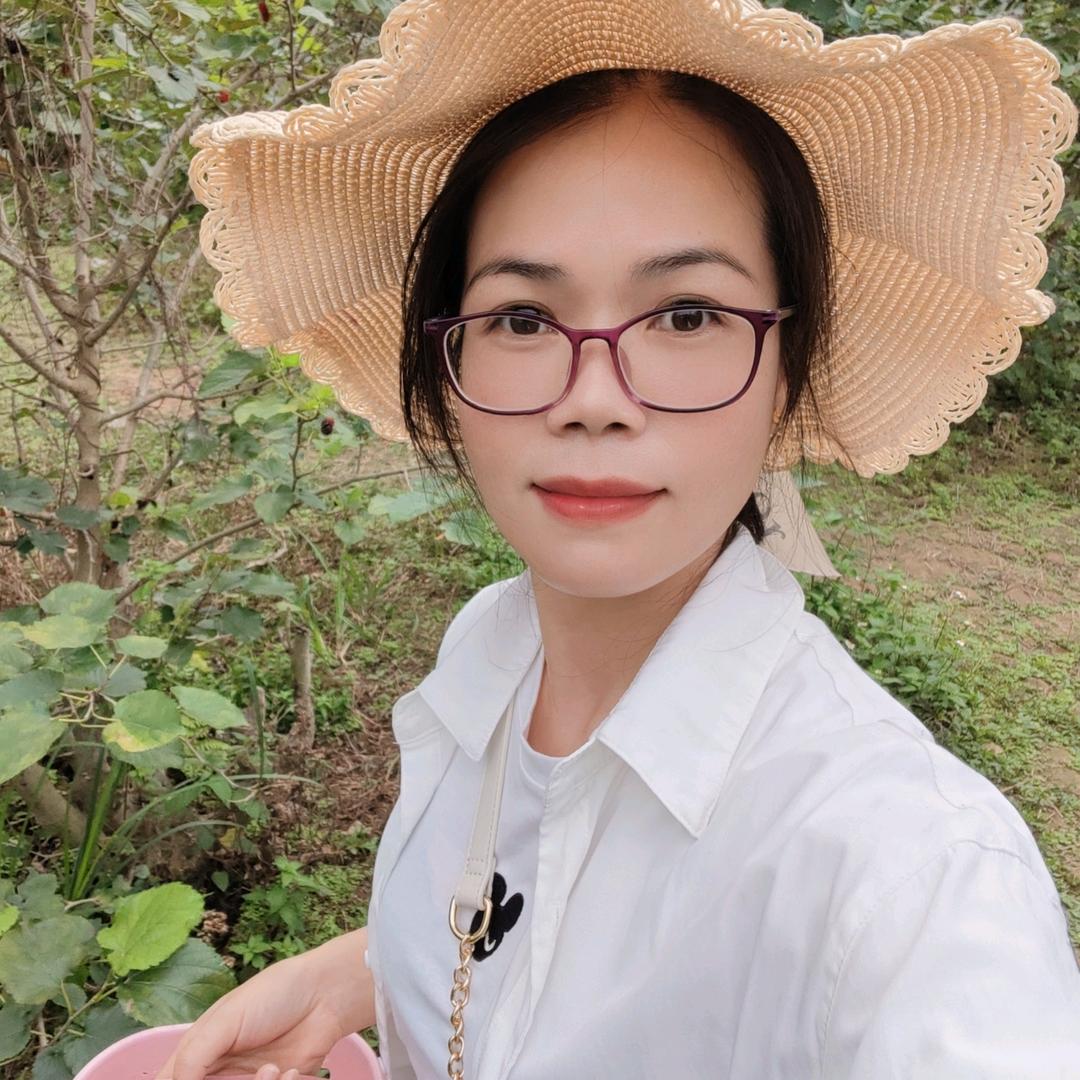金凤橱窗