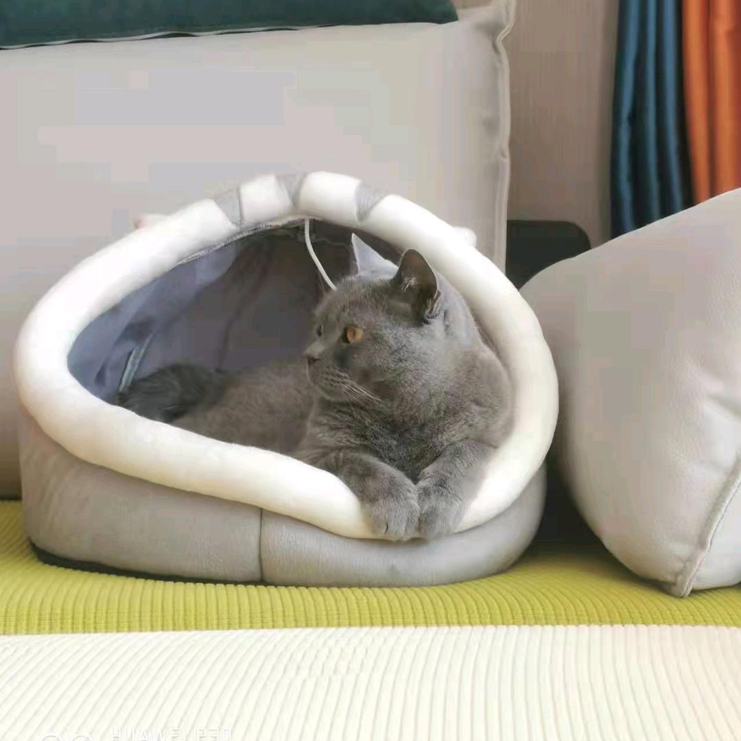 佑仔