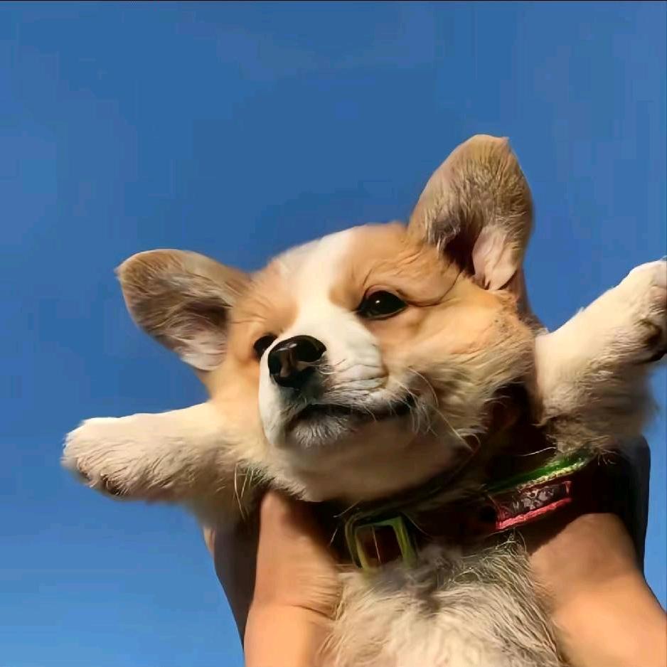 可樂不可口