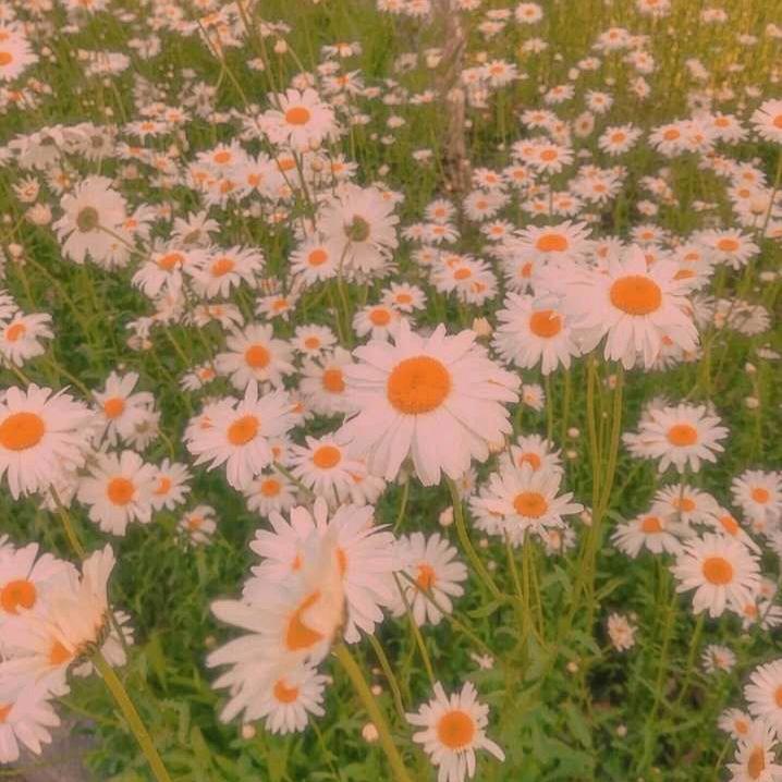 初夏*光年