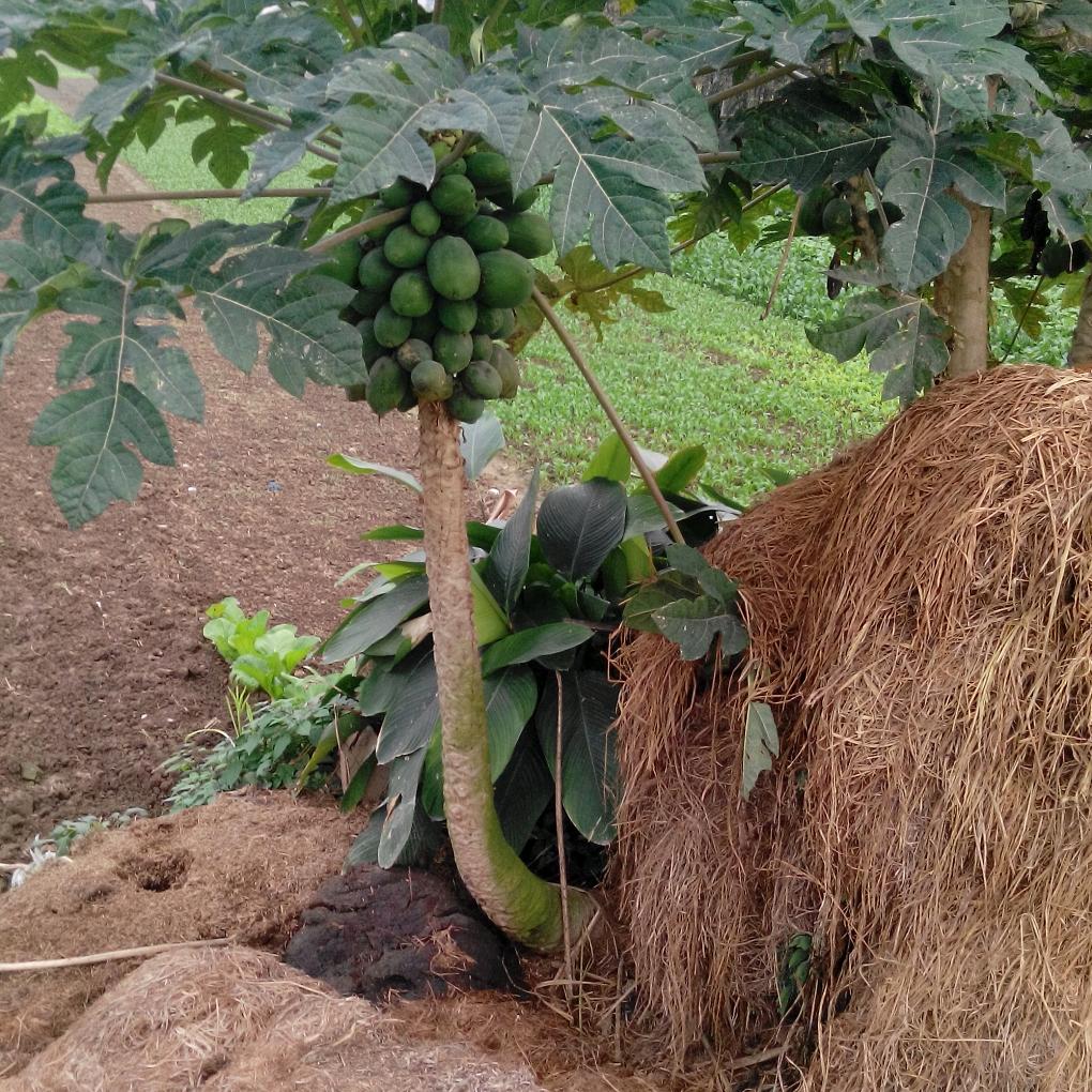 莱州同川机械加工厂