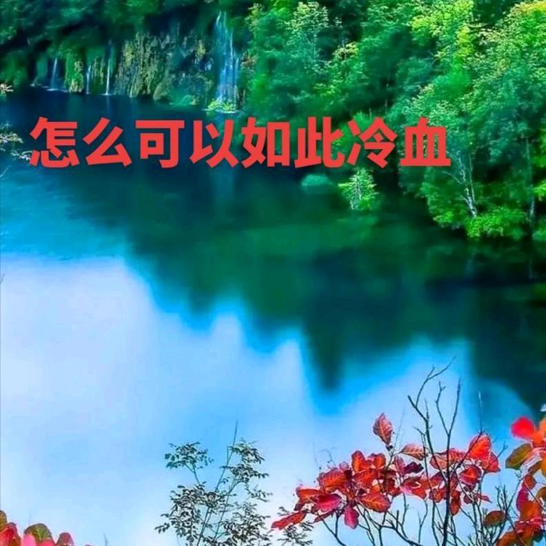 用户494209346322