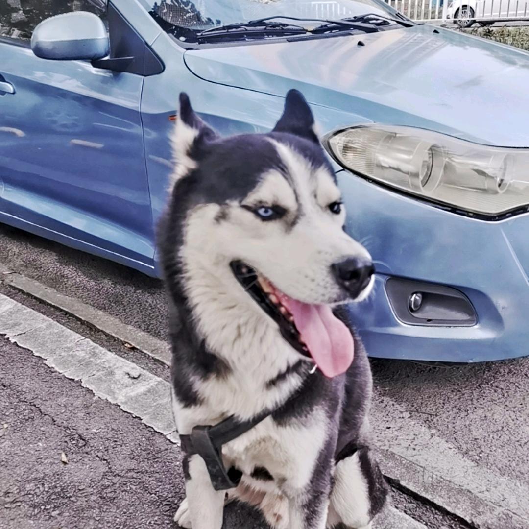 从头再来，向前看