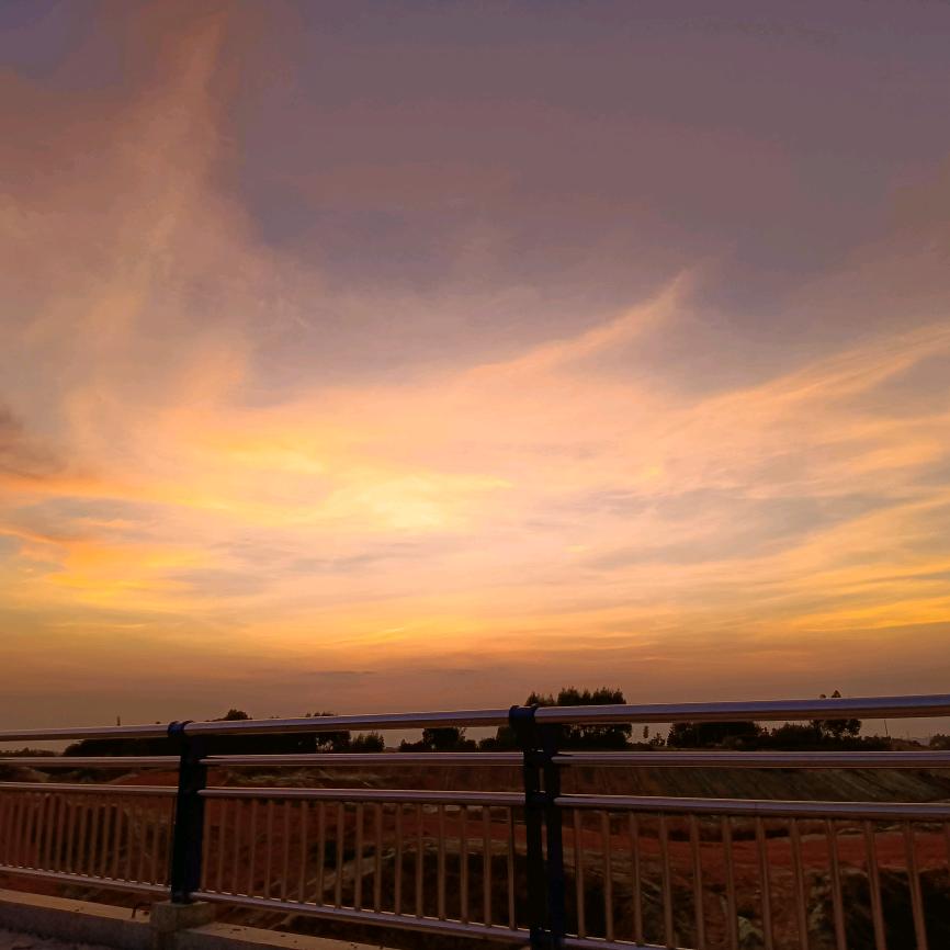 一支红玫天上飘