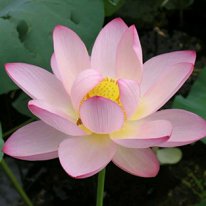 醒悟