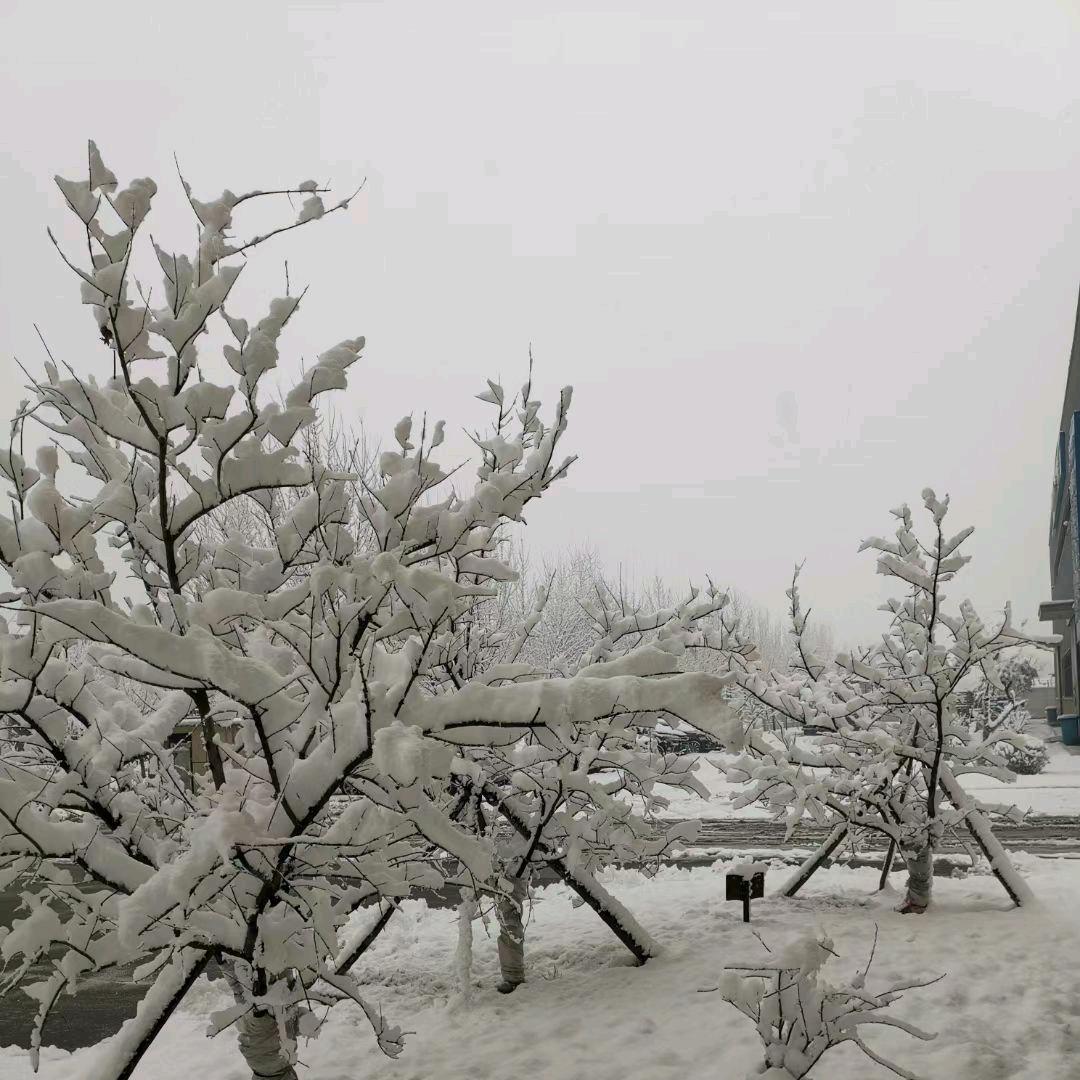 补刀团长撒浪嘿