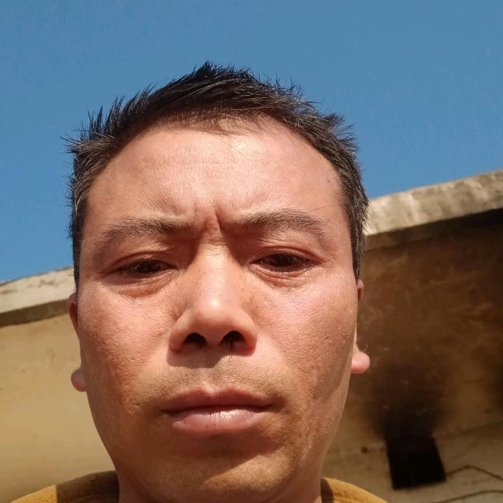 漂扬过海来看你