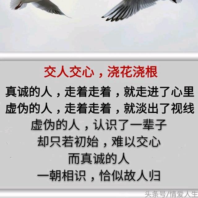 家电服务凯