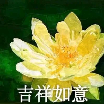 第七个天使