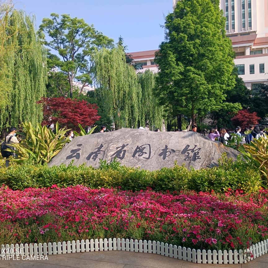 心静自宁