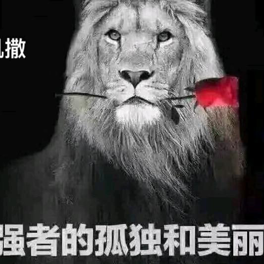 大连凯撒家服装