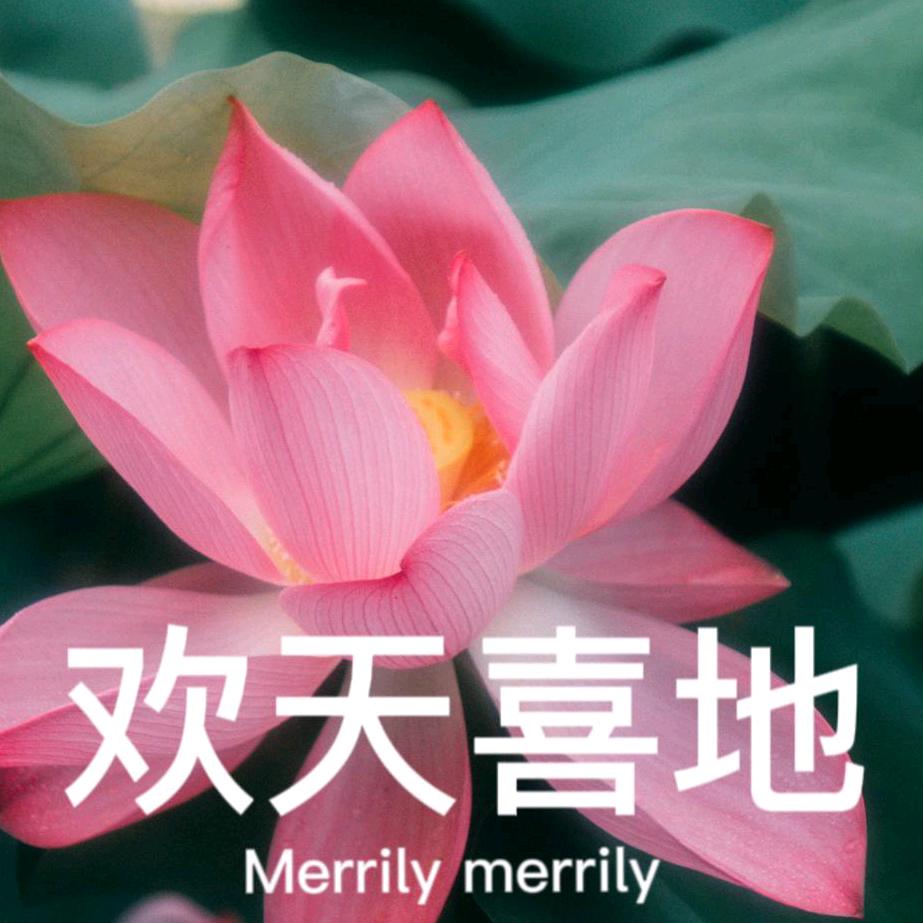 美丽人生