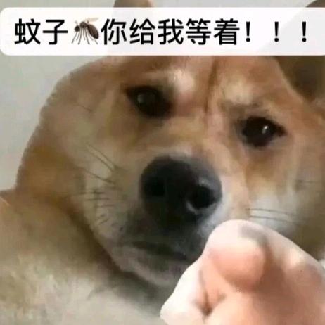 迷死她