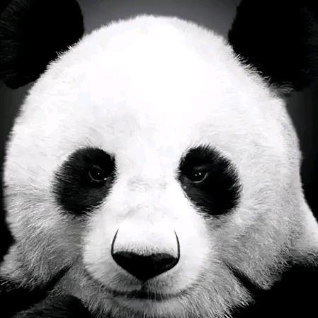 凯利拆迁