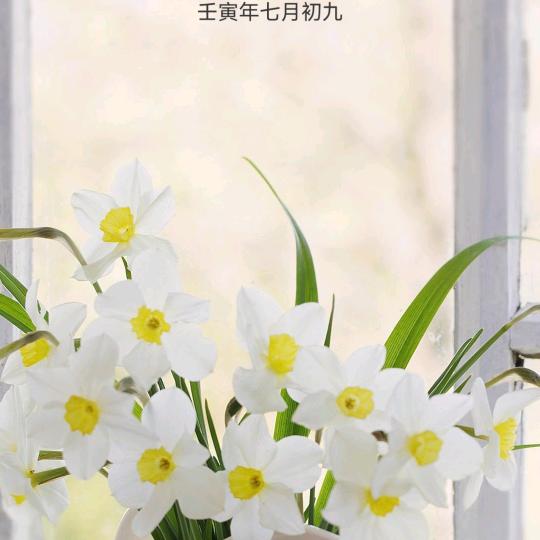 小康仁风富硒西瓜