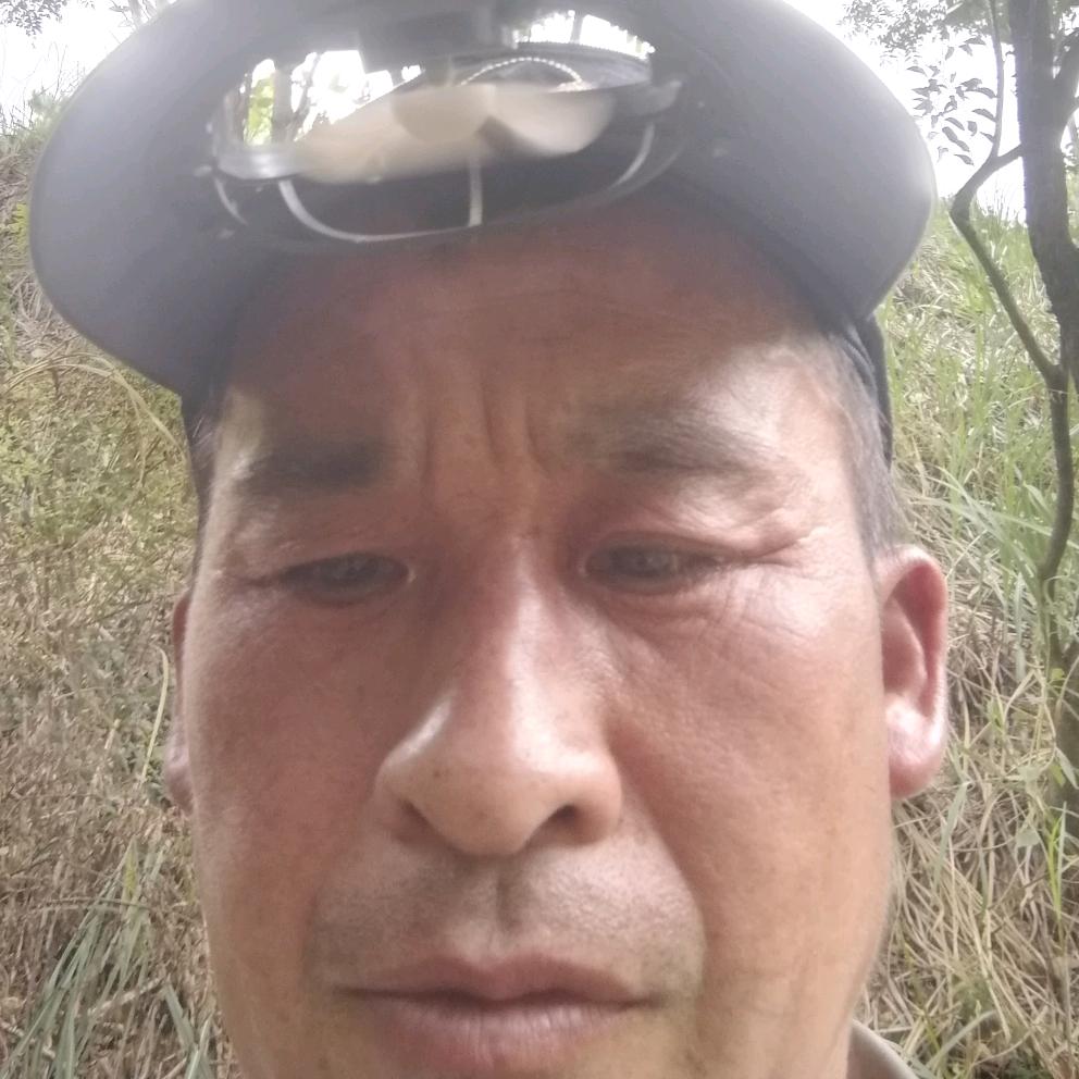 王总