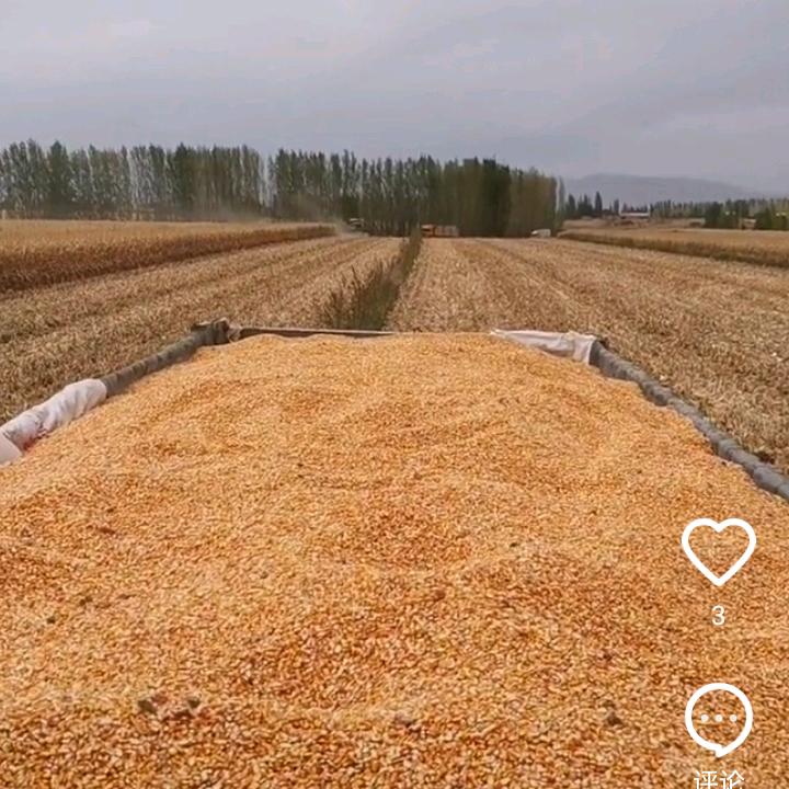 🏃👮一个一个