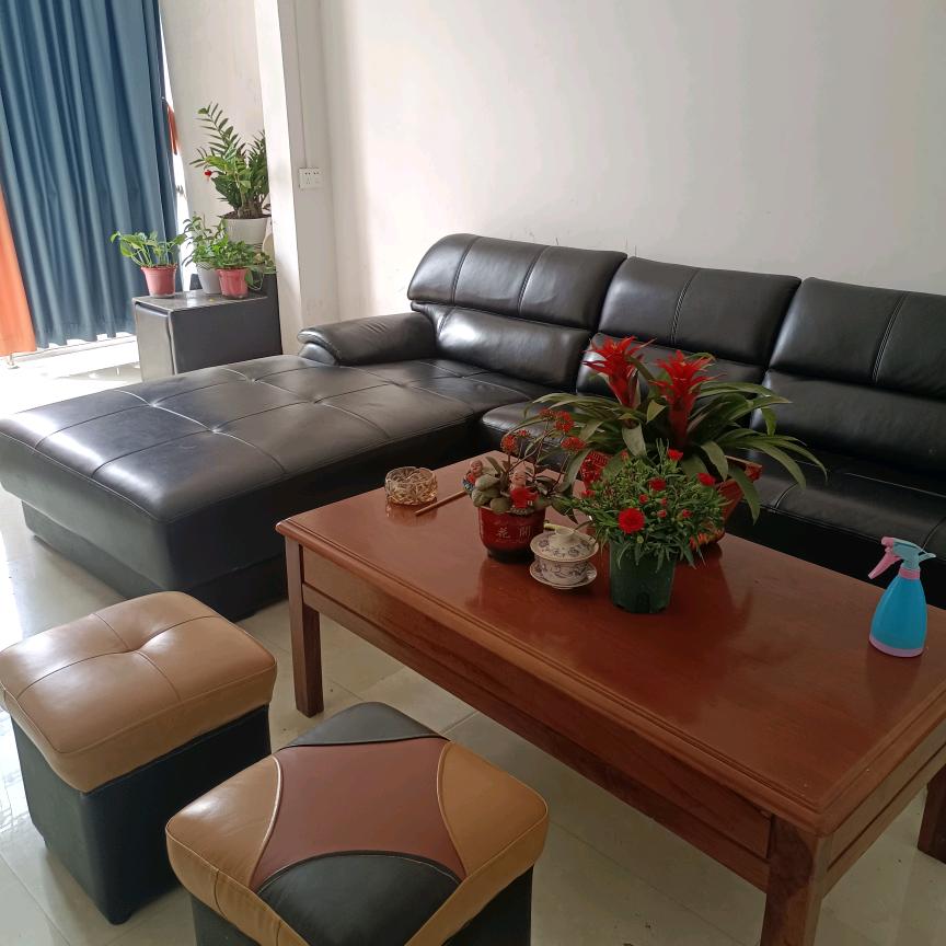 冷坑南街真皮沙发