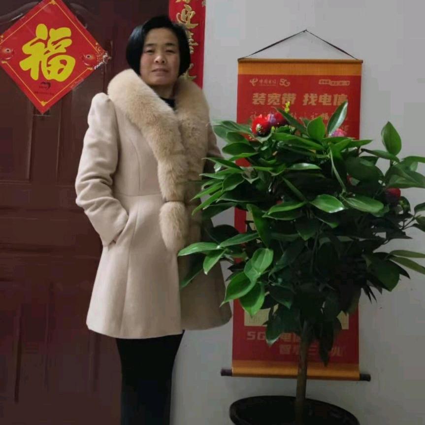 @安澜