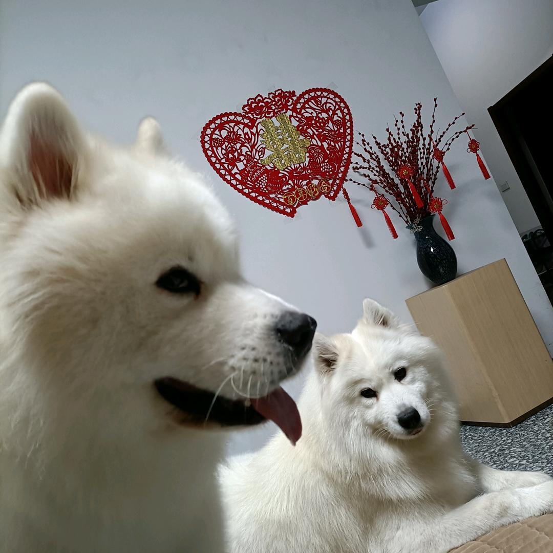 两点水冰
