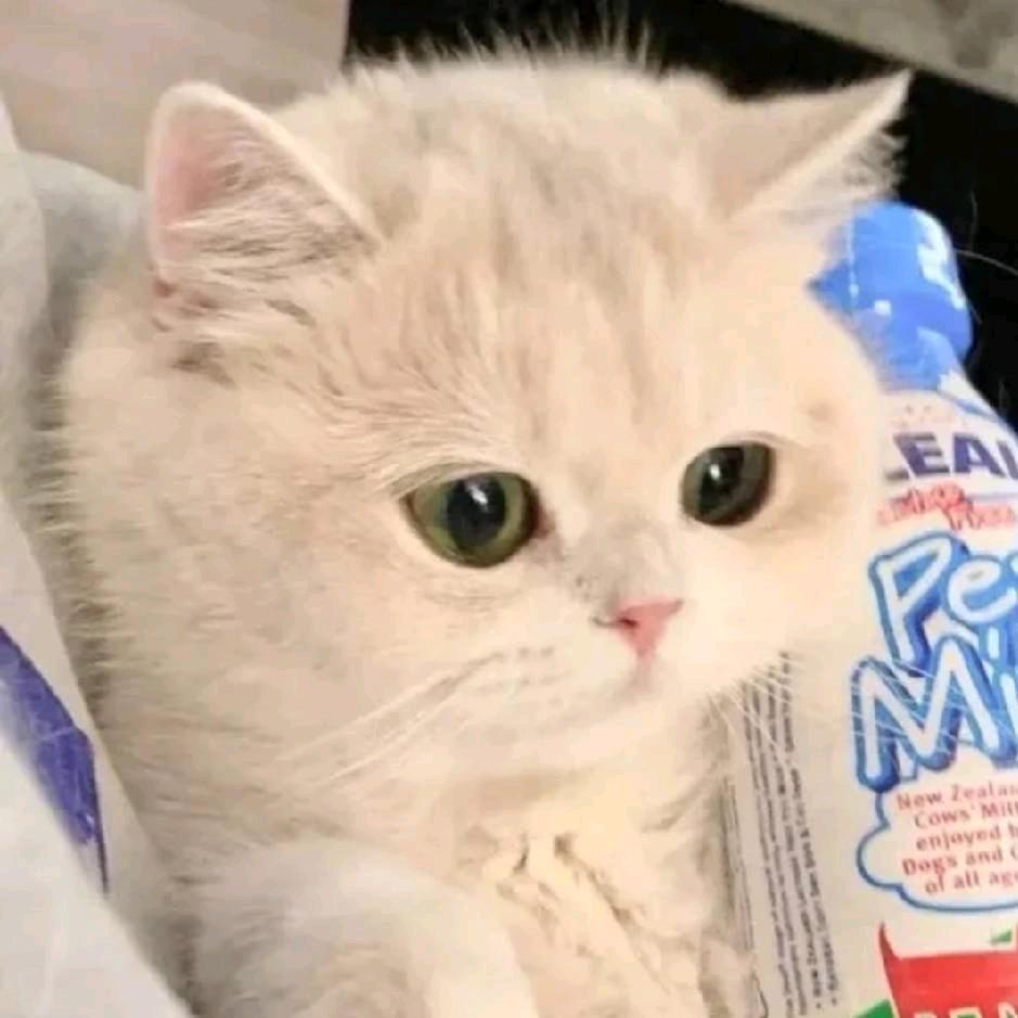 初.