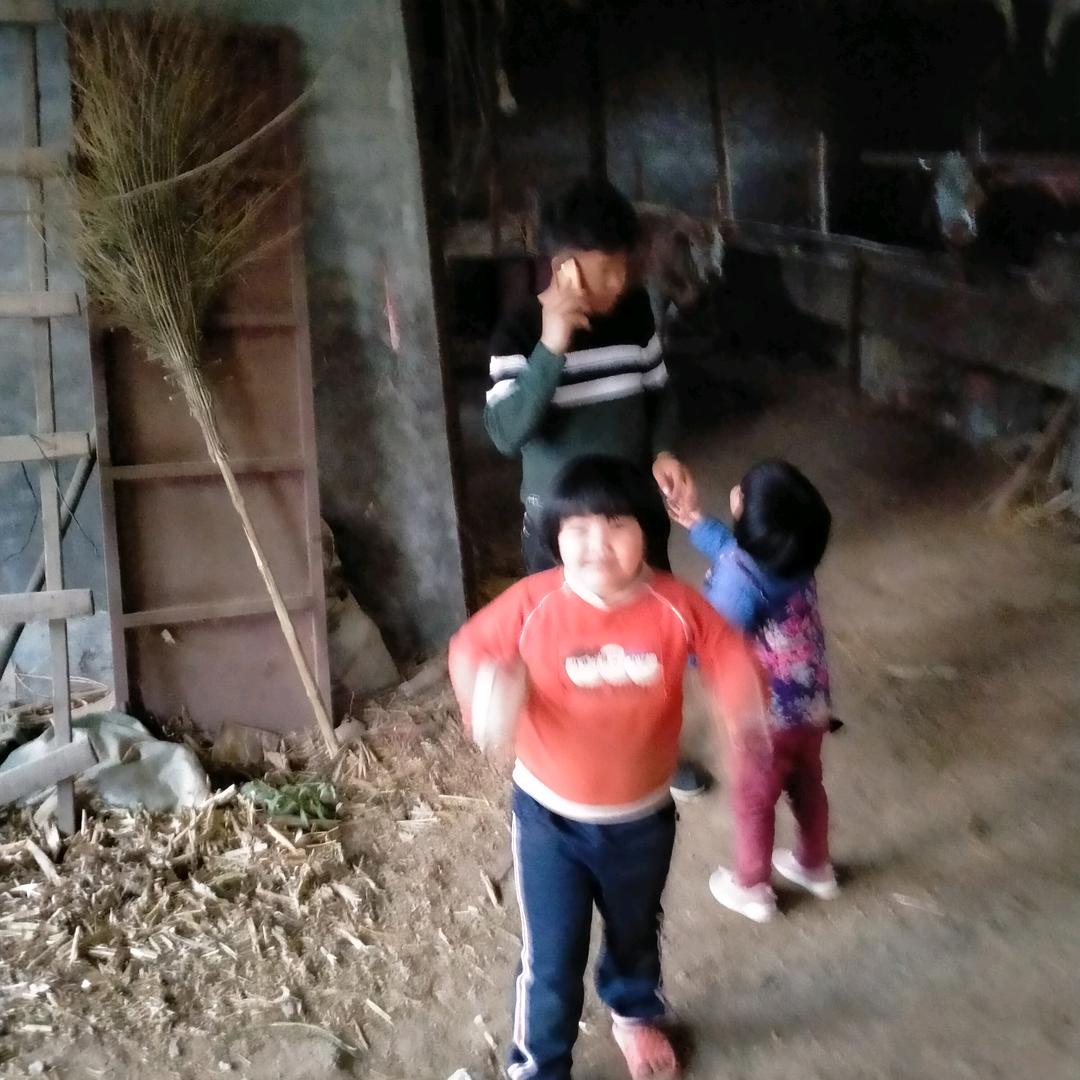 吉祥如意（好物在橱窗）