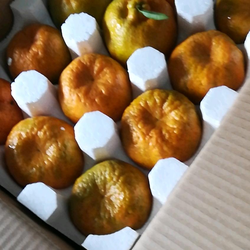 4川帅哥，来自龙结。