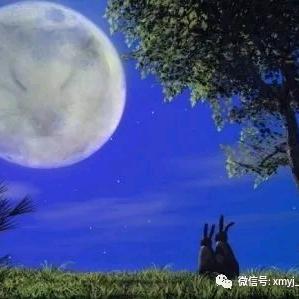 宁静致远