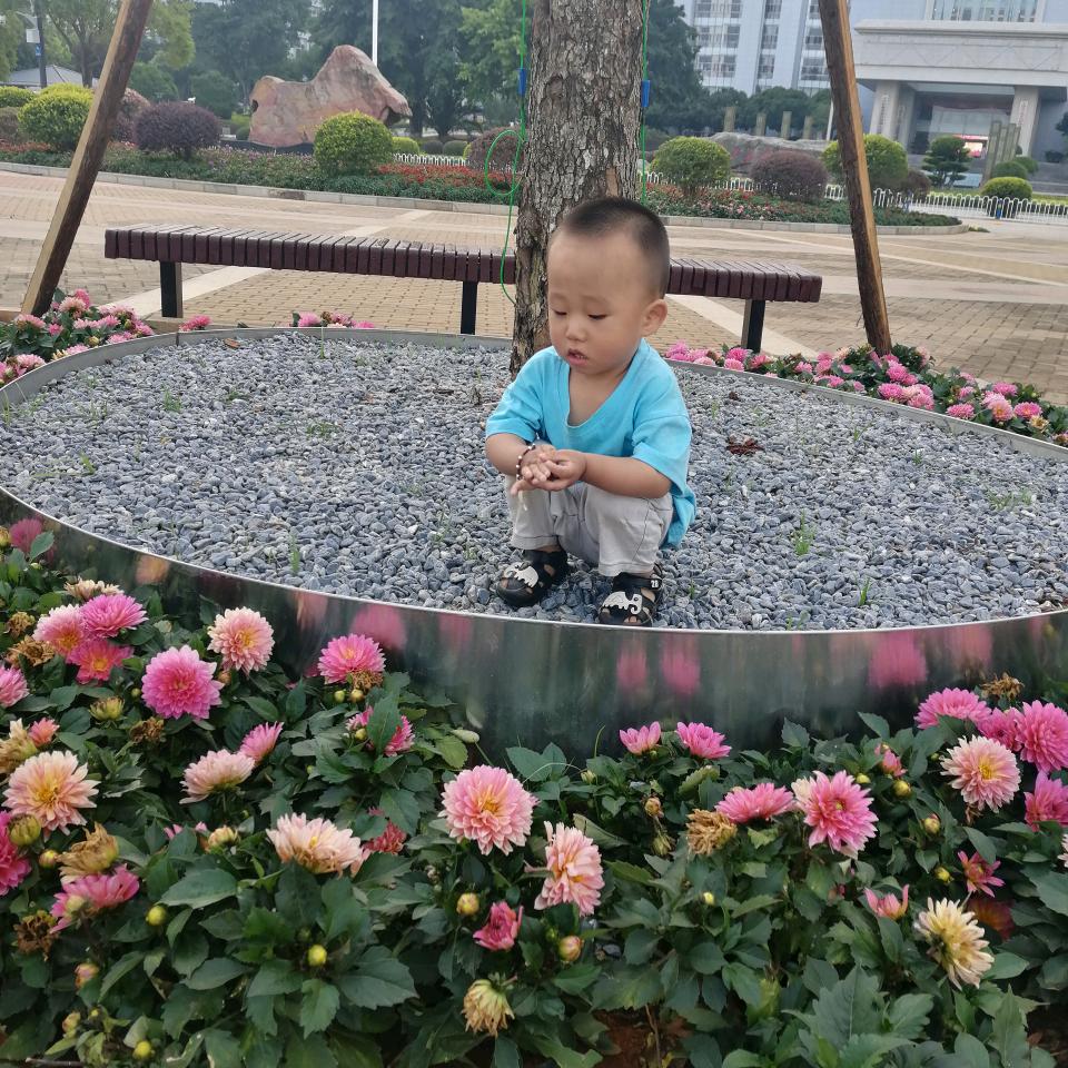 梅花🌸🌸🌸🌺🌺🌺🦋🦋