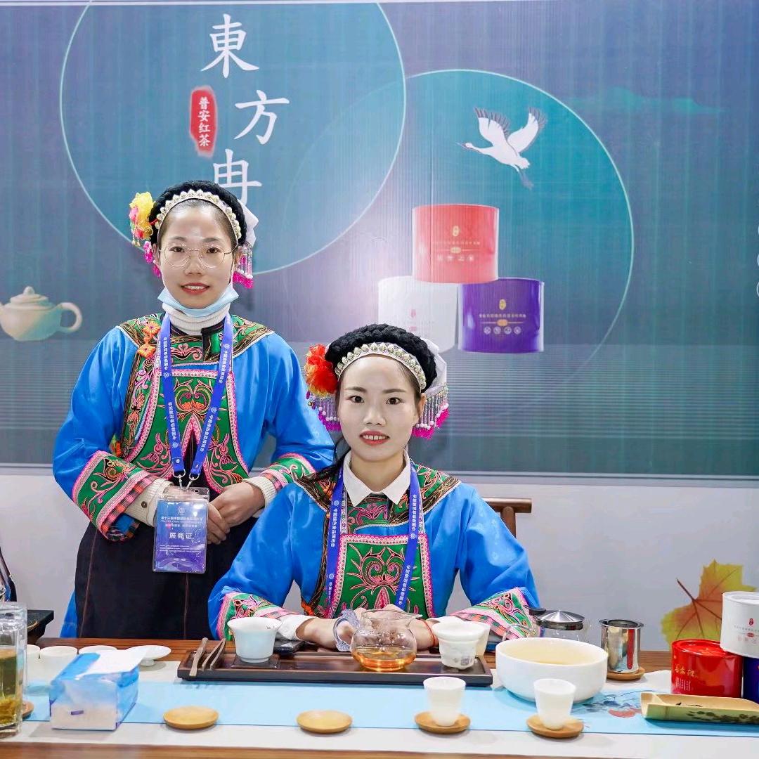 東方冉®普安红茶