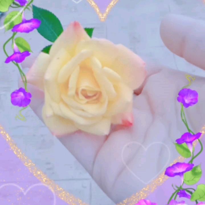 ໑ຼₒ₂₃ღ᭄傻丫头🕊꧔ꦿ᭄💞