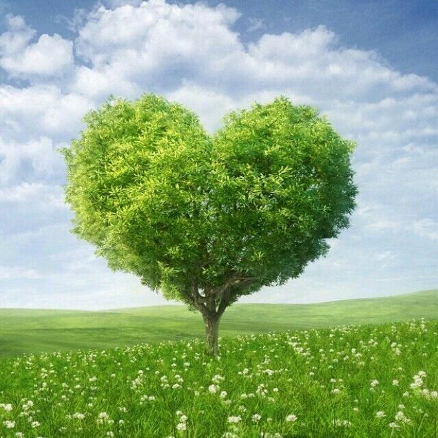 似水U•ェ•*U流年