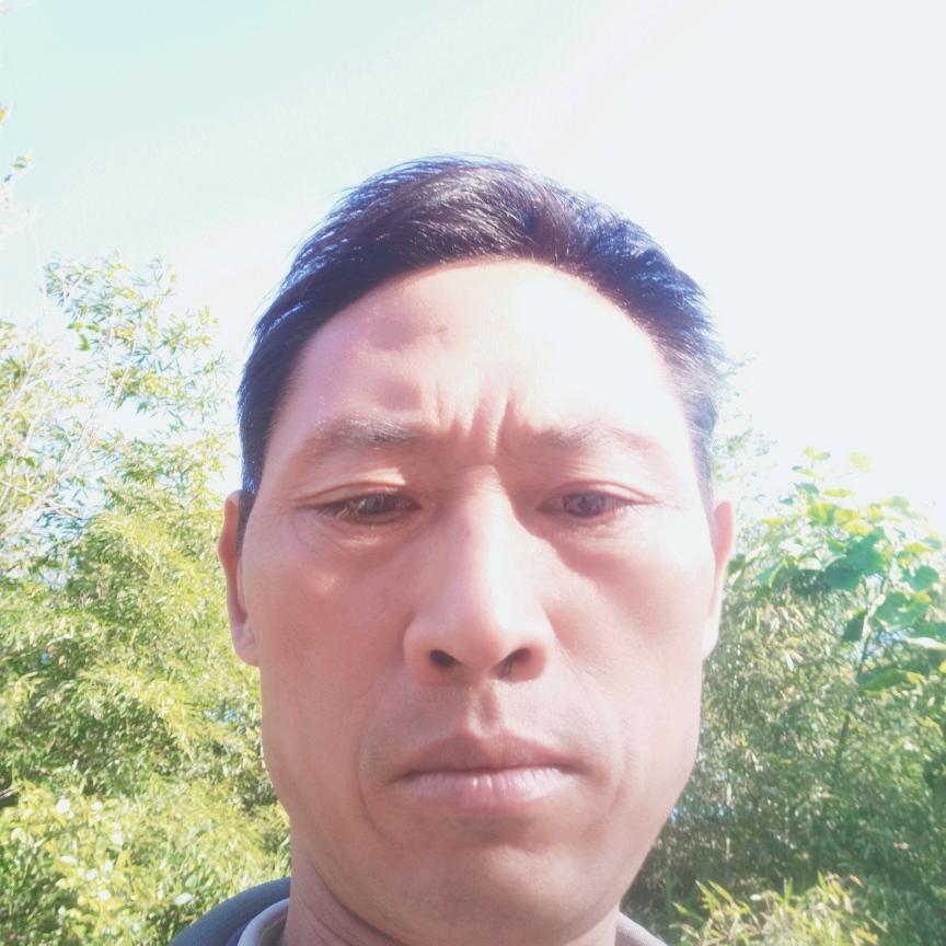 飞