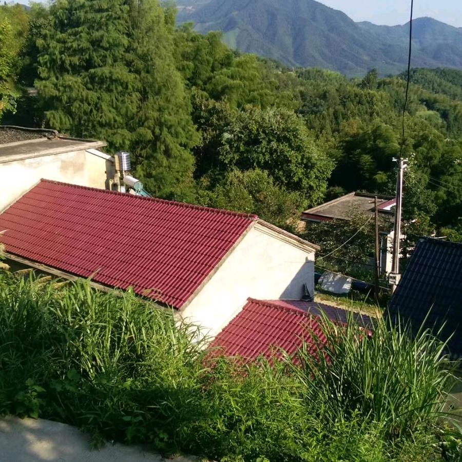 老九