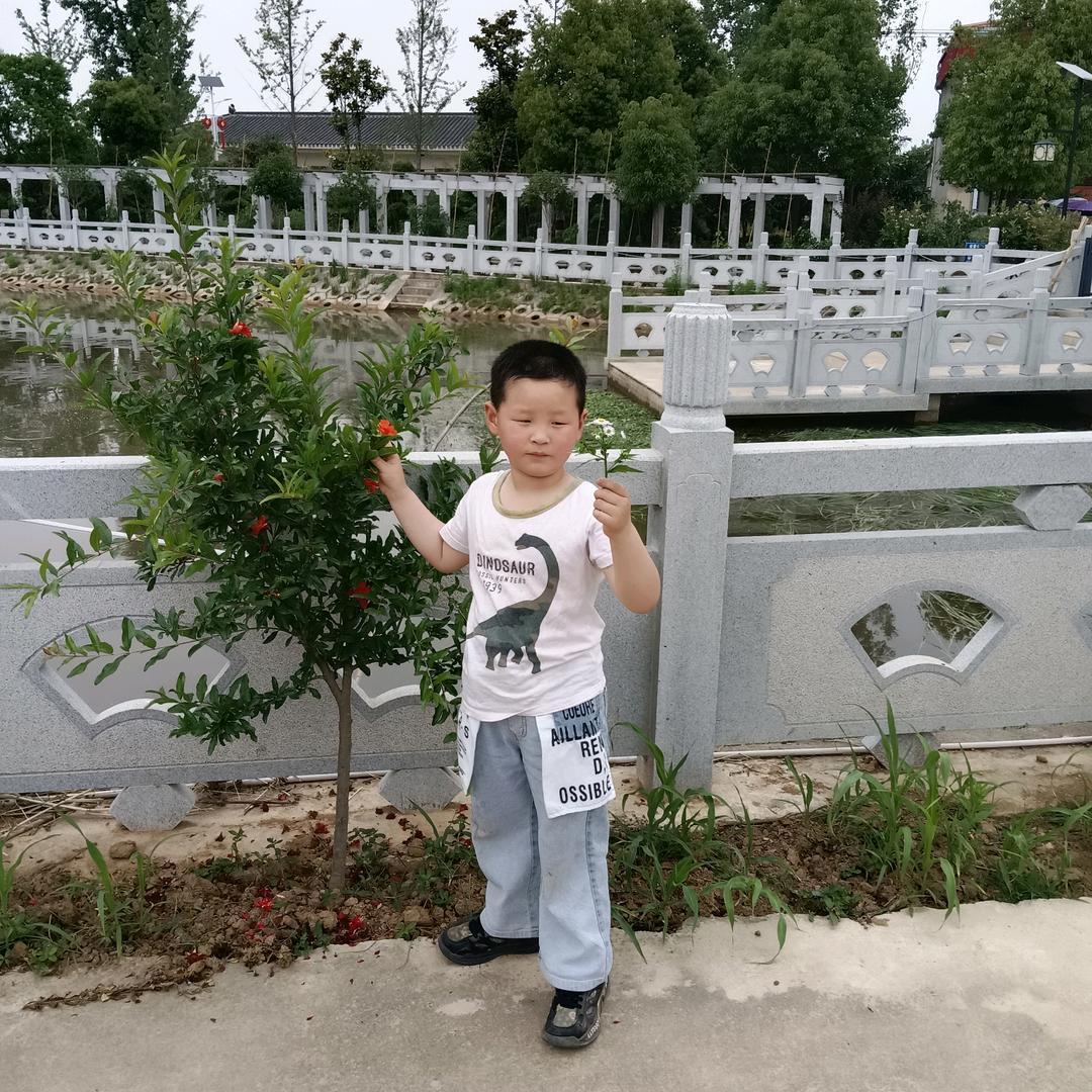 人生坎坷。