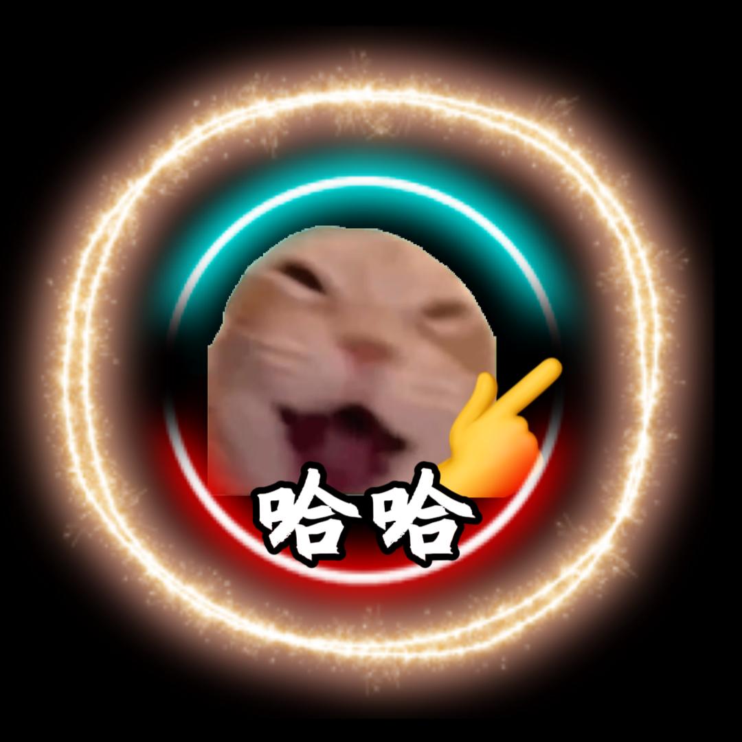 猫meme的圆