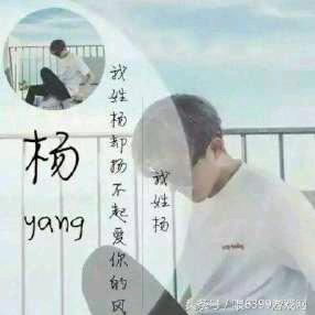 水城羊肉粉