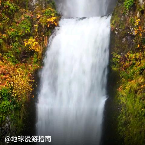 娇