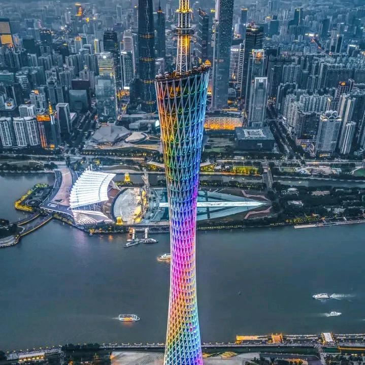 도도