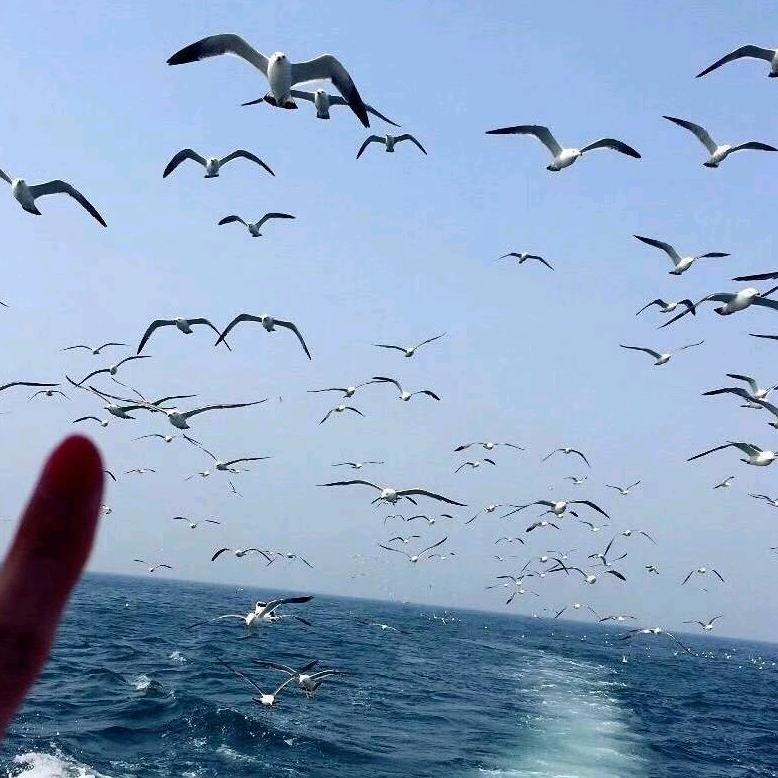 战狼传说