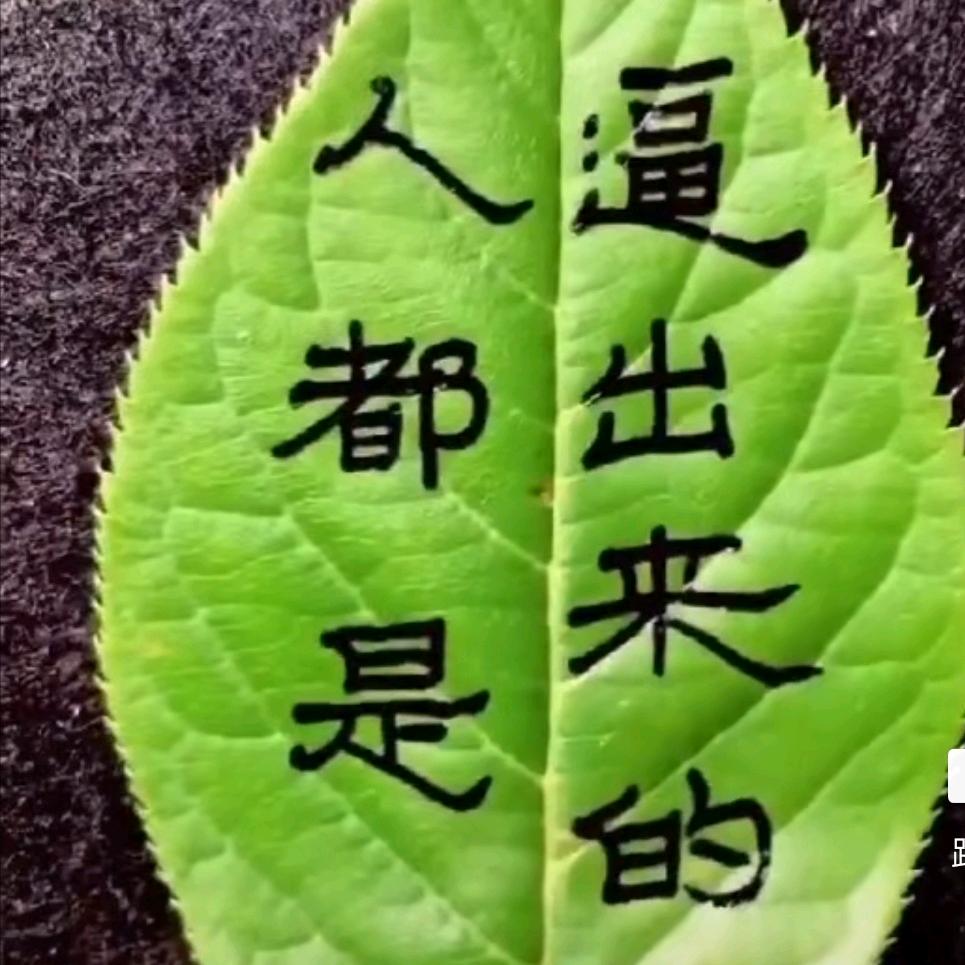 记忆中有妳